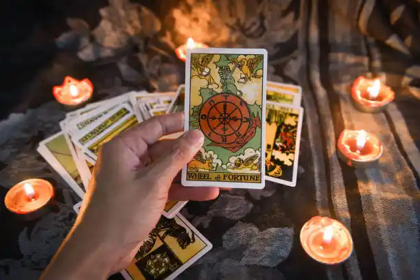 tarot cards Leland